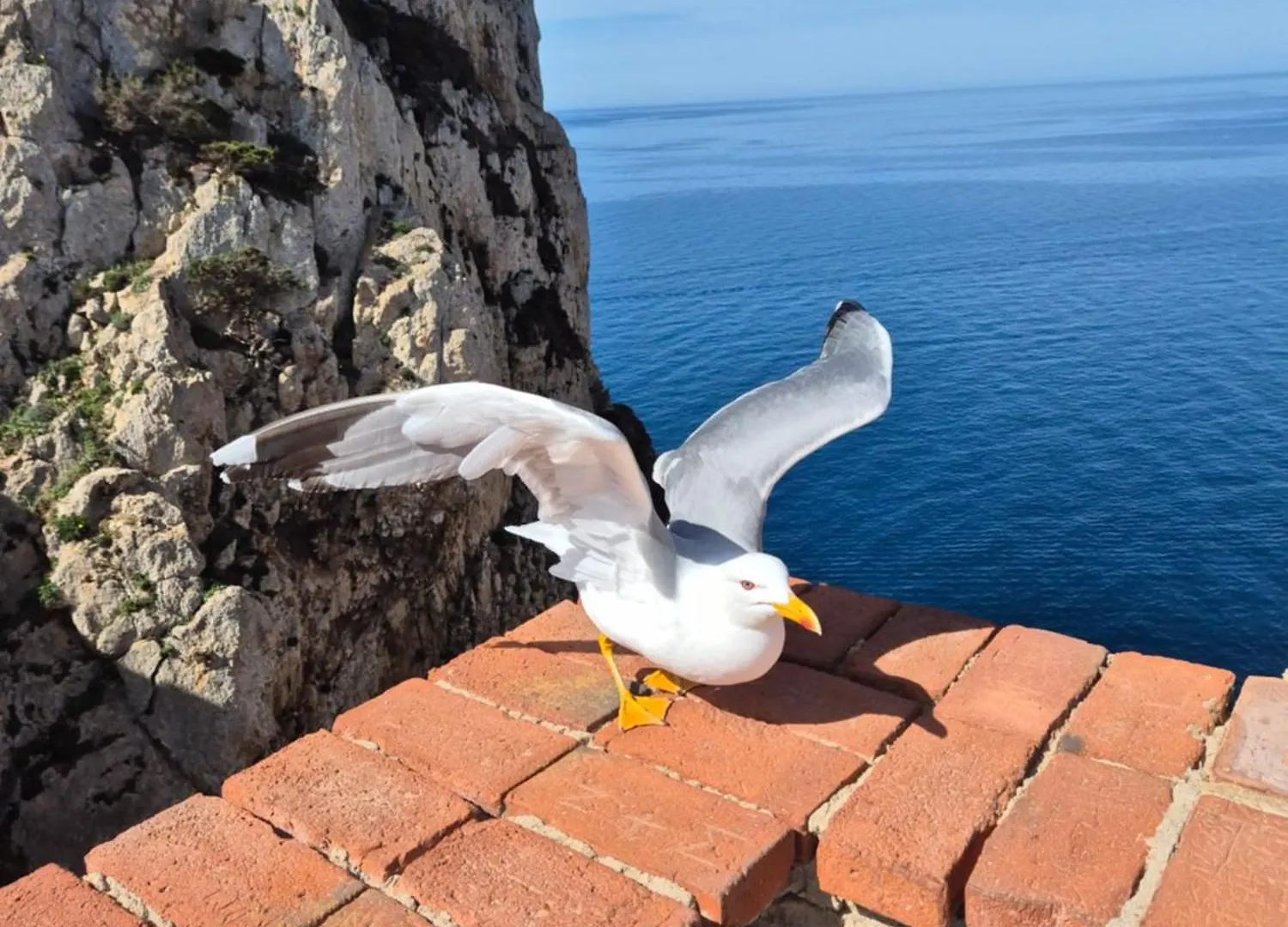 Appartamento Cozy Accommodation In Sardinia, Olmedo