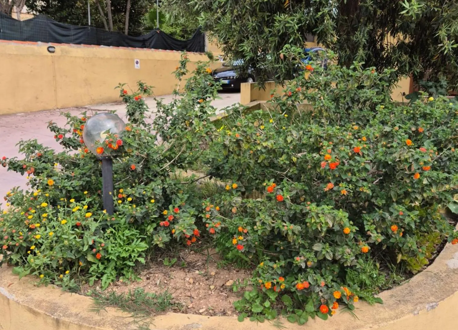 Cozy Accommodation In Sardinia, Olmedo
