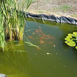 La Barca In Secca Olmedo