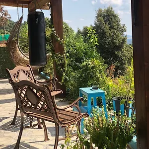 Yogaville Sardegna Luras